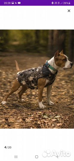Комбинезон для собаки/жилетка