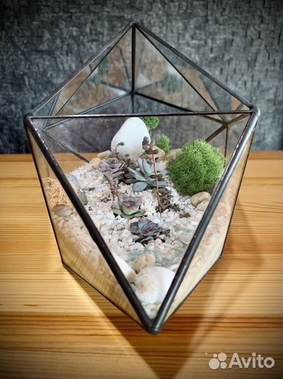 Флорариум с суккулентами в форме техники Тиффани