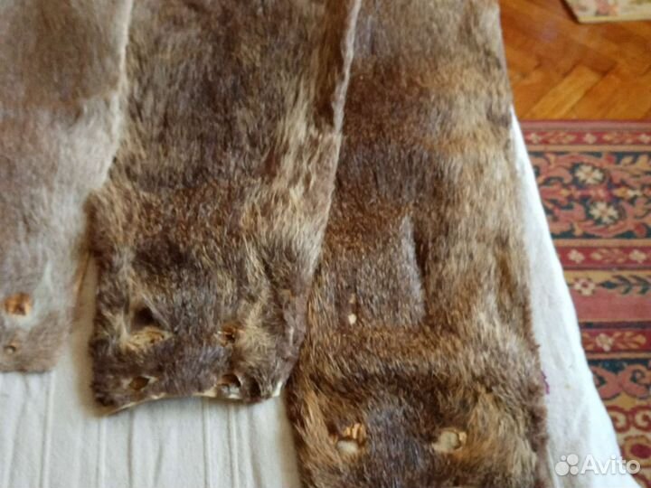 Шкуры животных