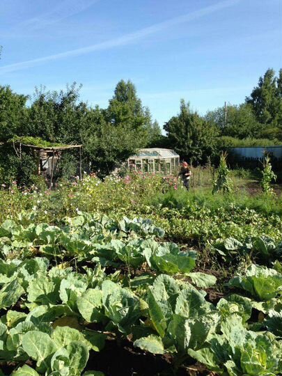 Дача 50 м² на участке 12 сот.