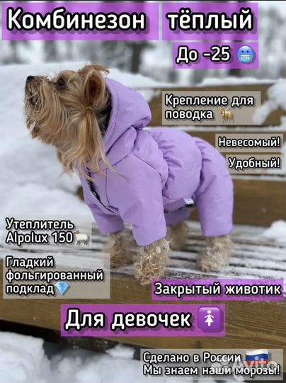 Комбинезон для собак (девочек)