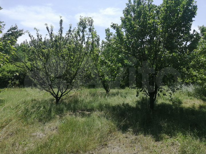 Участок 13,8 сот. (СНТ, ДНП)
