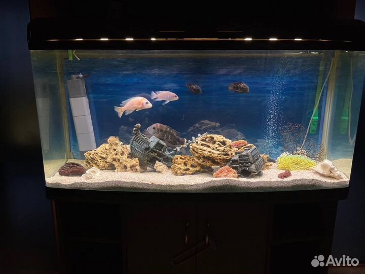 Аквариум комплекс 300л