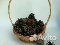 Шишки, желуди, каштаны сухие листья