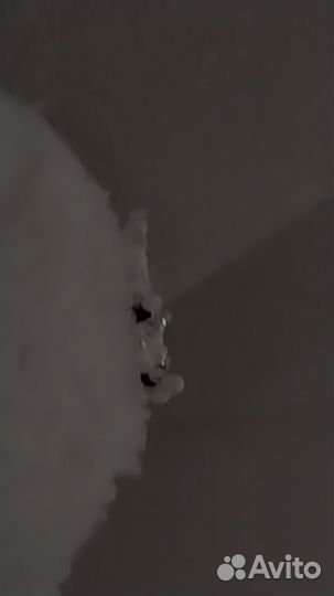 Колечко лягушка