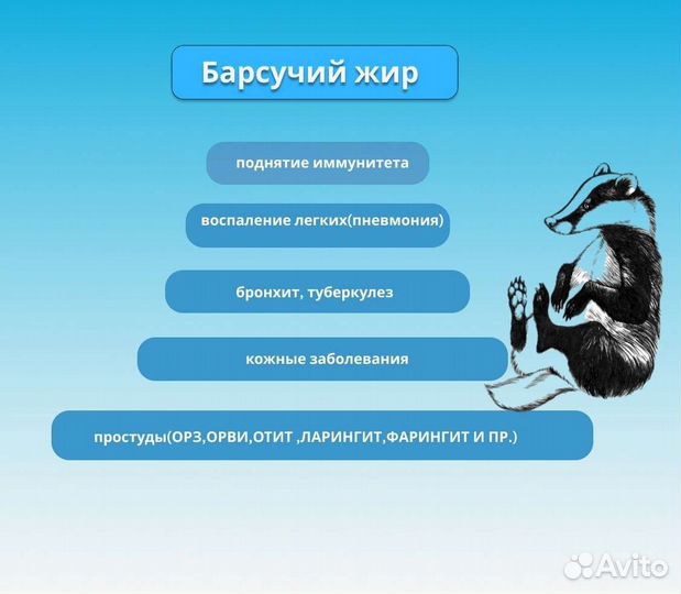 Барсучий жир от охотника/Свежий жир барсука