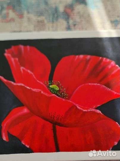 Картина на подрамнике 40х50, 
