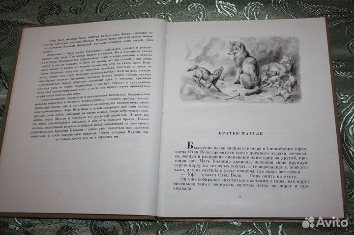 Р. Киплинг - Маугли. М: Детская литература, 1965