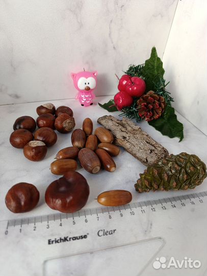 Набор природного материала