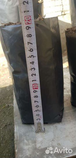 Пакет для саженцев рассады