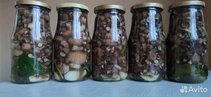 Грибы маслята солëные