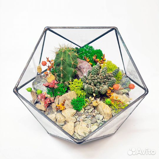 Флорариум 