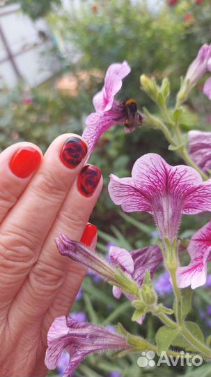 Маникюр Гель лак