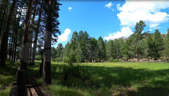 Участок 50 сот. (ИЖС)