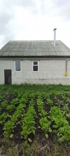 Дом 114 м² на участке 13 сот.