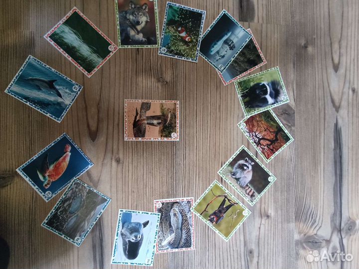 Наклейки с изображением животных и др