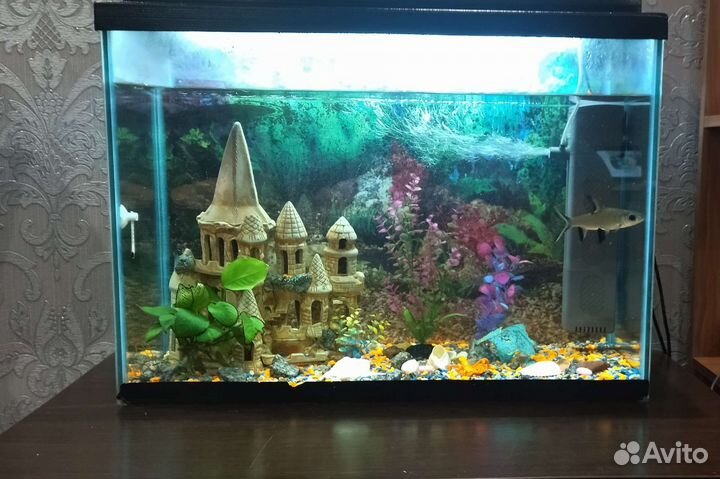 Аквариум