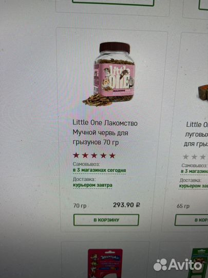 Мучной червь