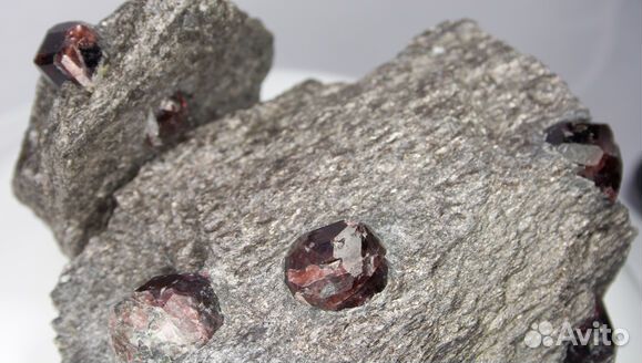 2.сен.23 Автобусный тур в Карелию /ка3020