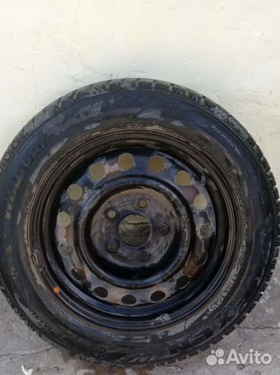 Nexen Winguard 185/65 R15 92