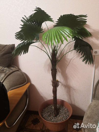 Цветок пальма искусственная