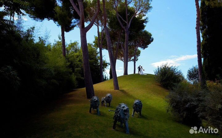 Свадебный фотограф