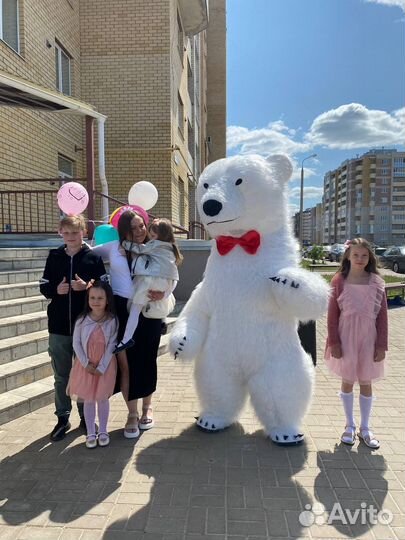 Аэрокостюм Медведя