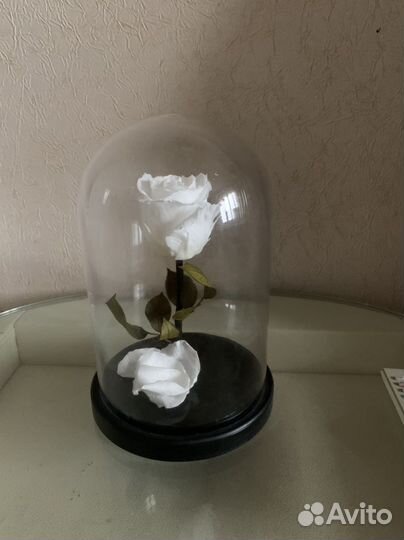 Роза в колбе украшение для дома