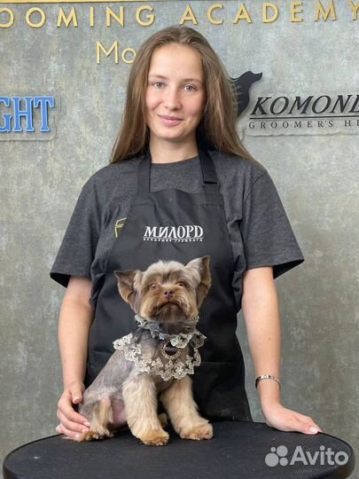 Груминг стрижка собак и кошек