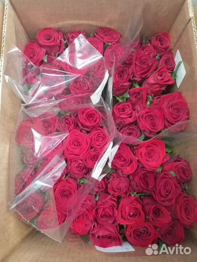 Цветы оптом