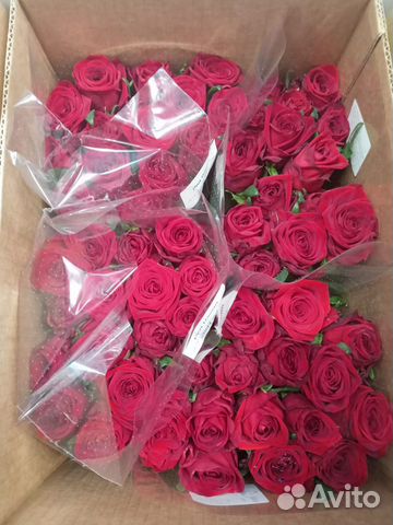 Цветы оптом