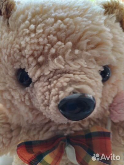 Плюшевый медведь