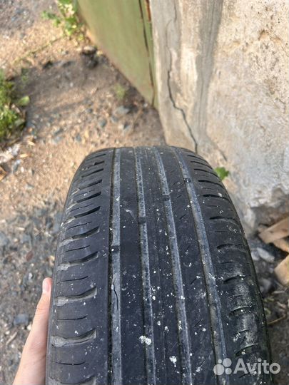 Nordman SX3 195/65 R15