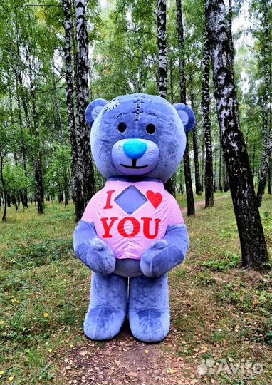 Большой медведь поздравление