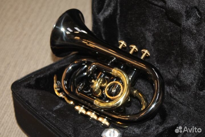 Карманная труба Roy Benson TR-101K