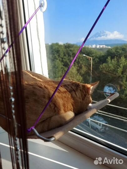 Гамак на окно для кошек котят котов