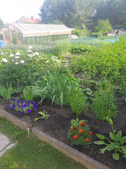 Дом 88 м² на участке 12 сот.