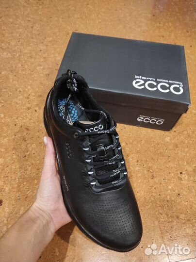 Кроссовки ecco biom, кожа, р.40-45