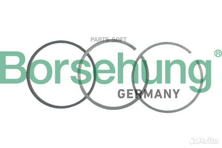 Borsehung B19039 Кольца поршневые, комплект
