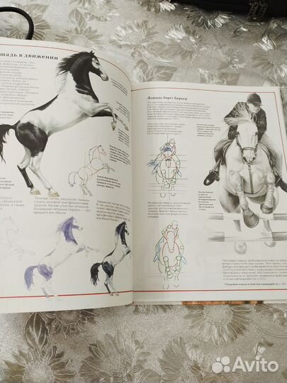 Детская энциклопедия рисования