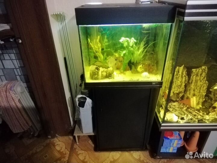 Аквариум Juwel 100 lido
