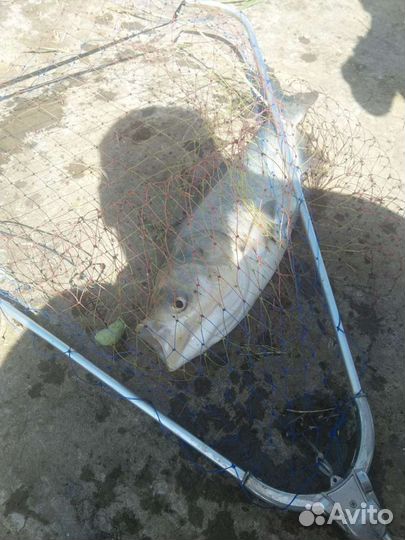 Технопланктон(Natural) от производителя