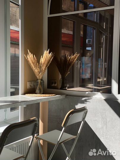 Груминг собак и кошек стрижка собак