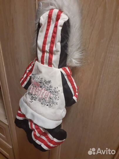 Одежда для маленьких собак