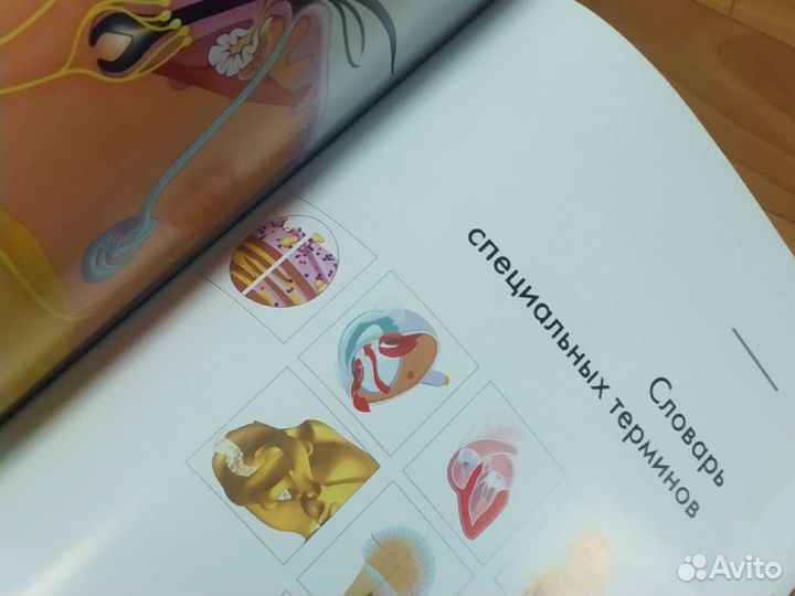 Энциклопедия собаки