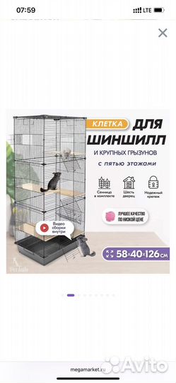 Шиншилла с клеткой