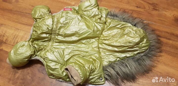 Одежда для собак мелких пород