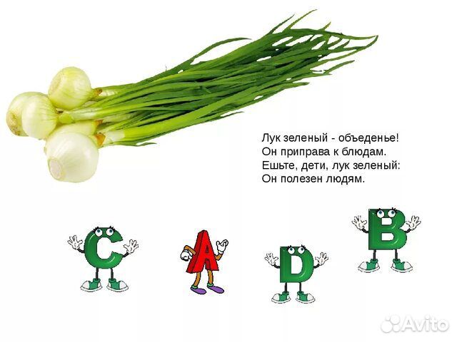 Лук зеленый перо