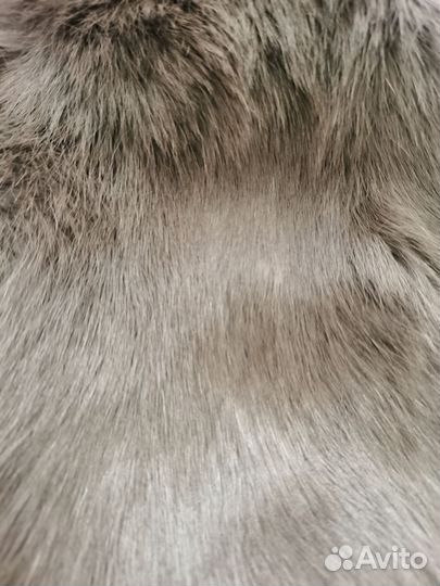 Шкурки кролика
