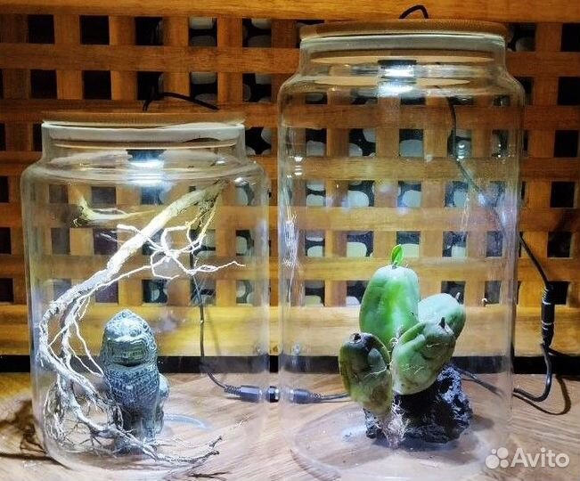 Чистка террариумов\уход за экзотическими животными